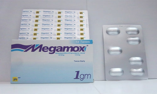 ميجاموكس Megamox