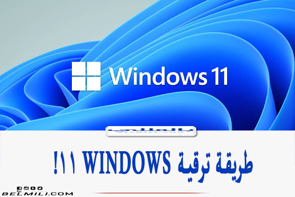 طريقة ترقية windows 11