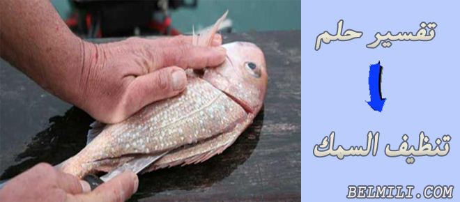 تفسير حلم اكل السمك للعزباء