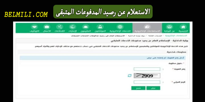 الاستعلام عن رصيد المدفوعات المتبقي