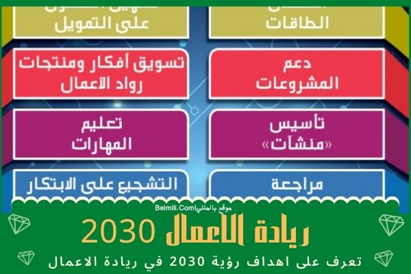 أهداف رؤية 2030 في مجال ريادة الأعمال بالمللي