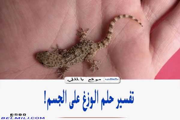 تفسير حلم الوزغ على الجسم في المنام لابن سيرين بالمللي
