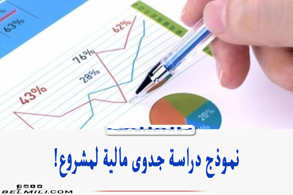 نموذج دراسة جدوى مالية